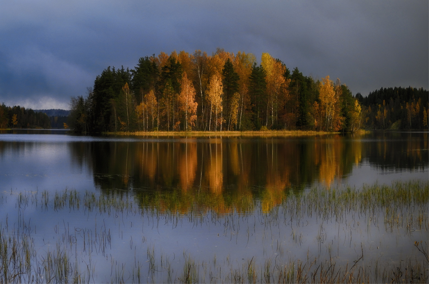 Autumn light