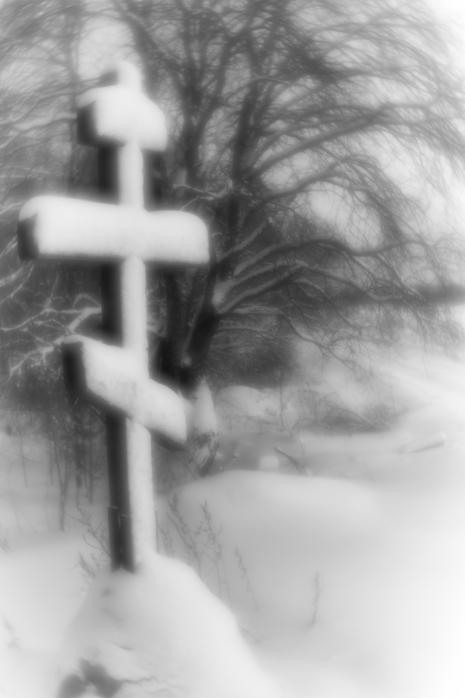 Cross the road