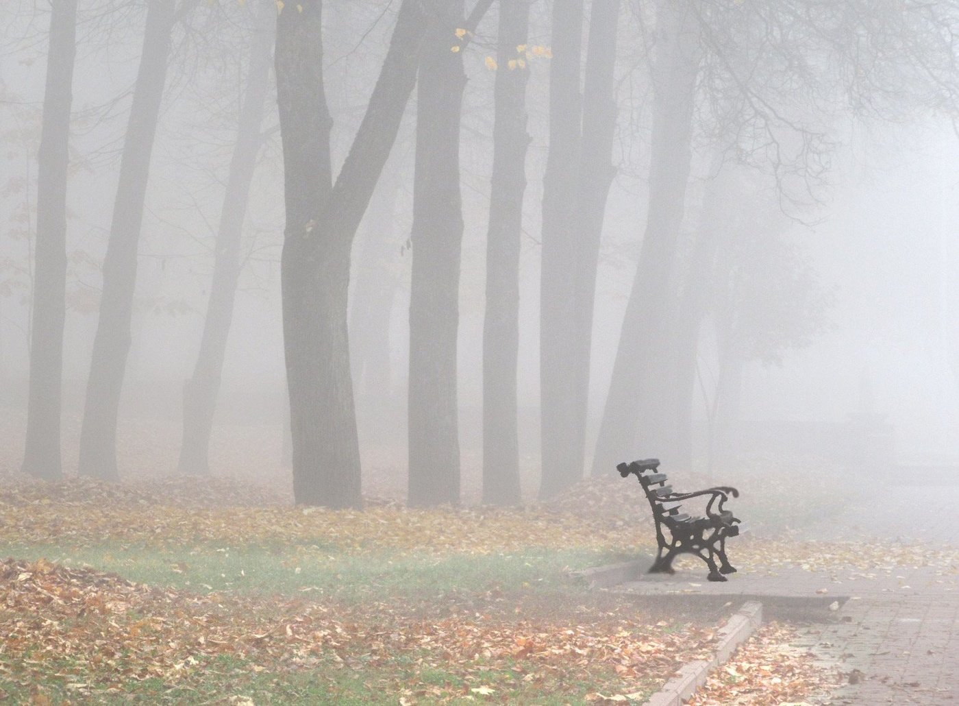 подчеркивание обстоятельства в предложении. вечер над рекой. река любви. в октябре за туманами где то затерялось. подчеркнуть обстоятельство в предложении.