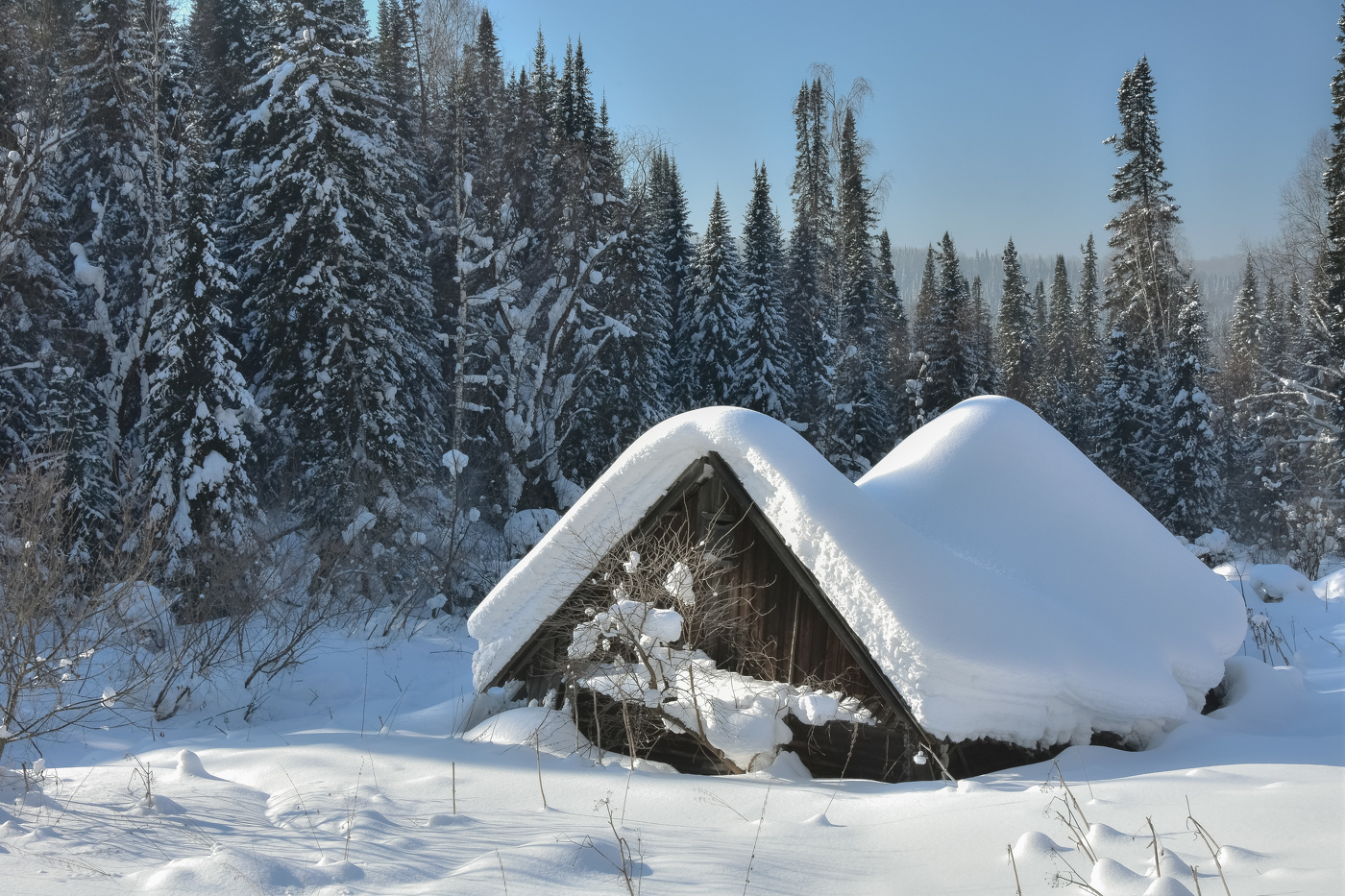 Frosty house