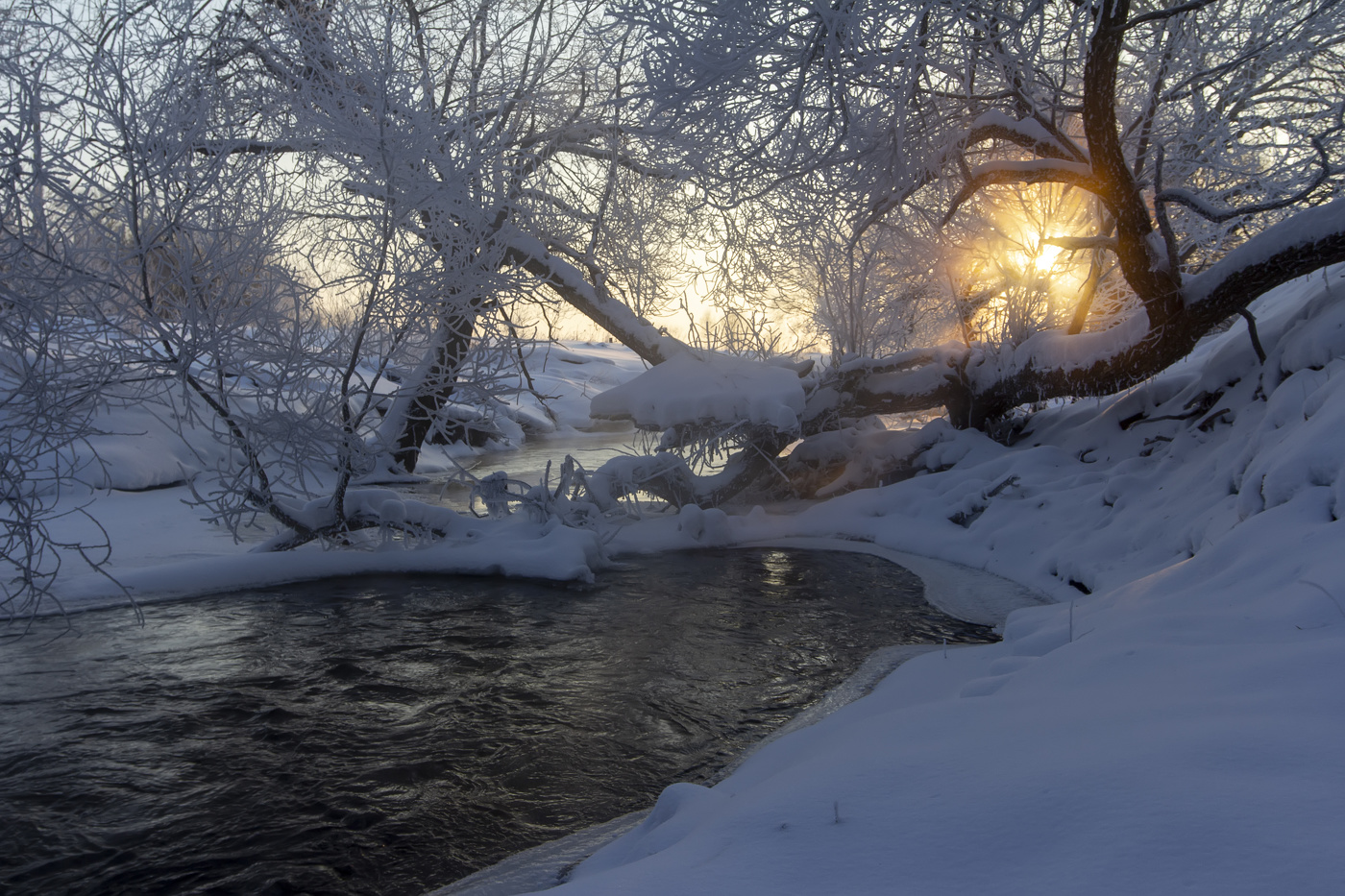 Frosty morning...
