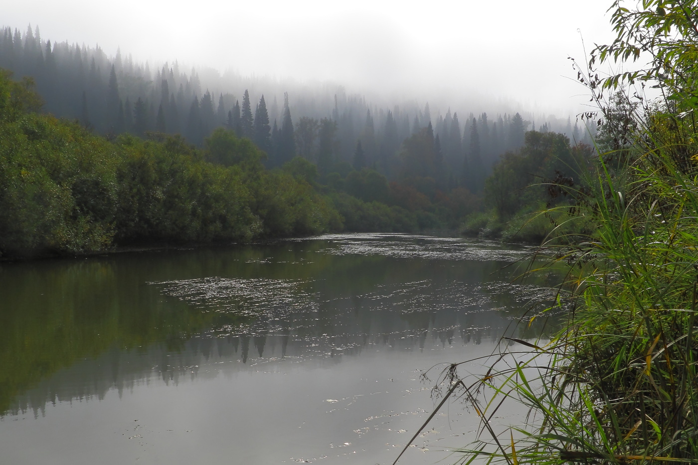 Foggy morning
