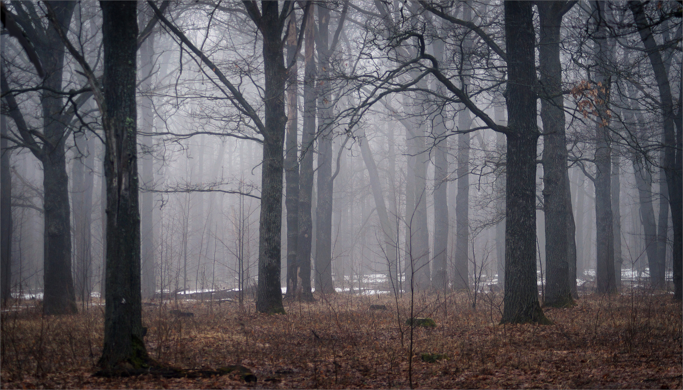 In March