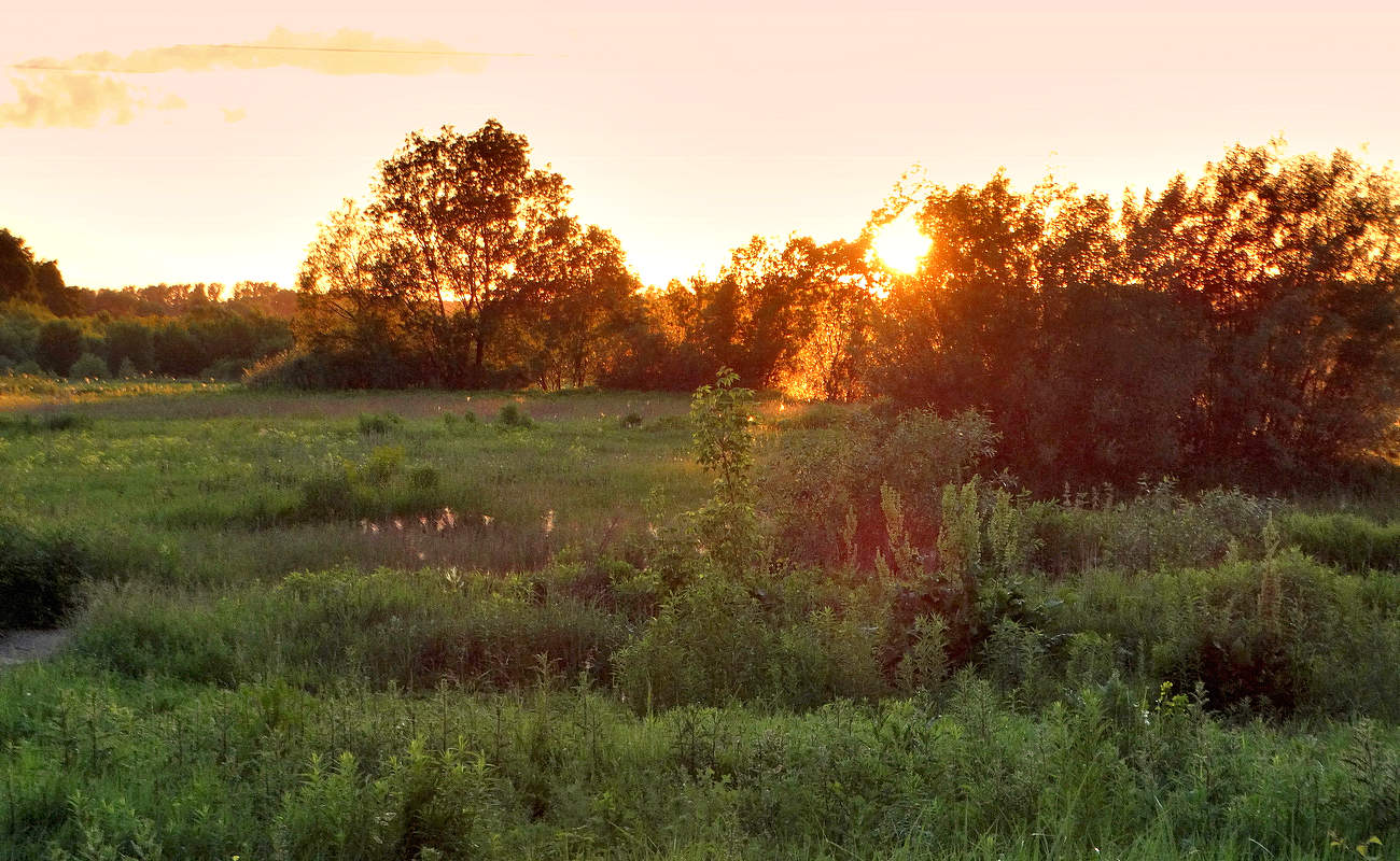 Summer Sunset