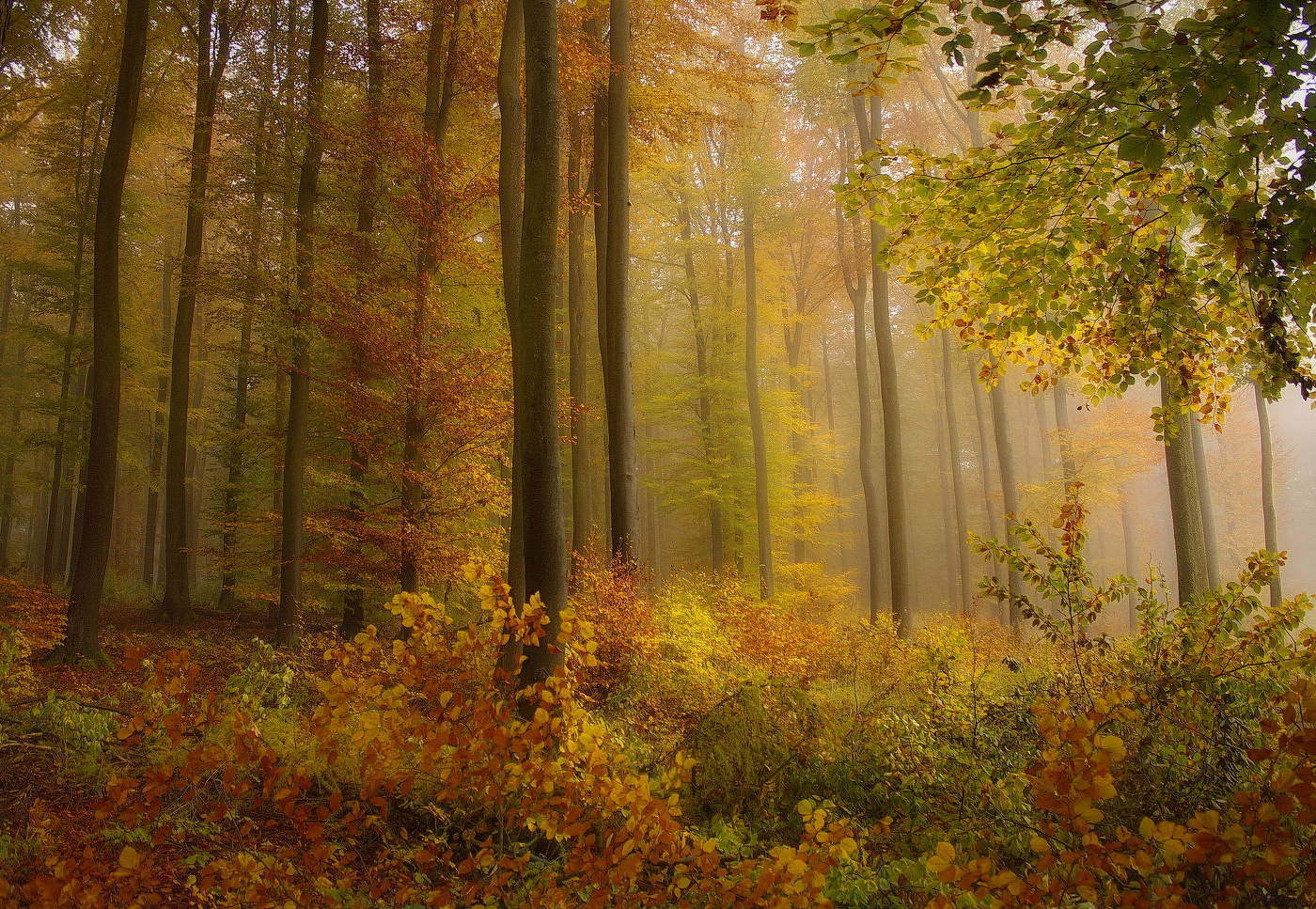 The palette of autumn