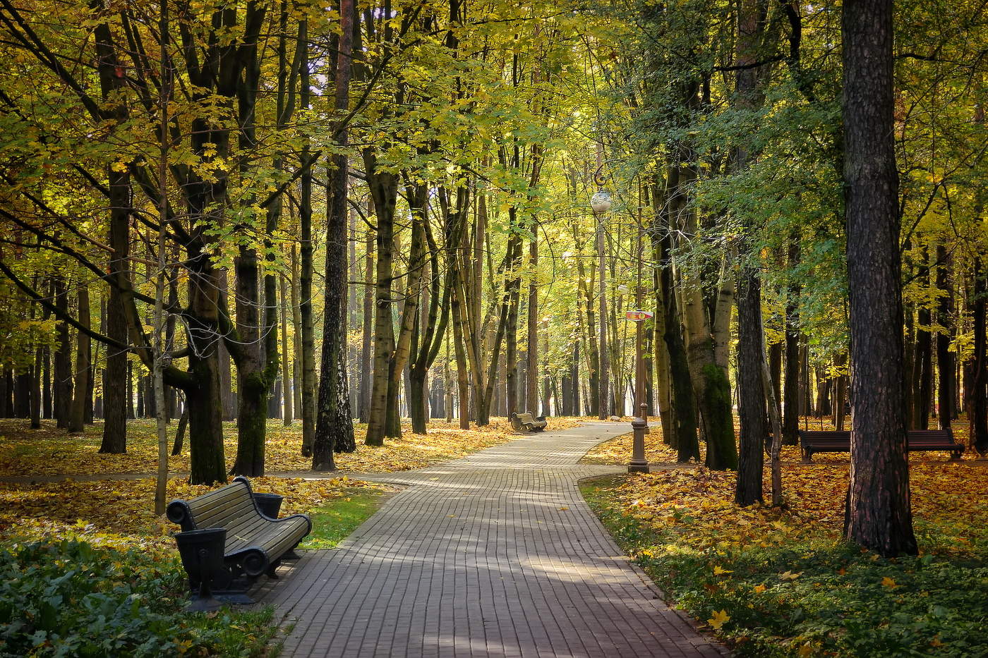 Autumn in the city