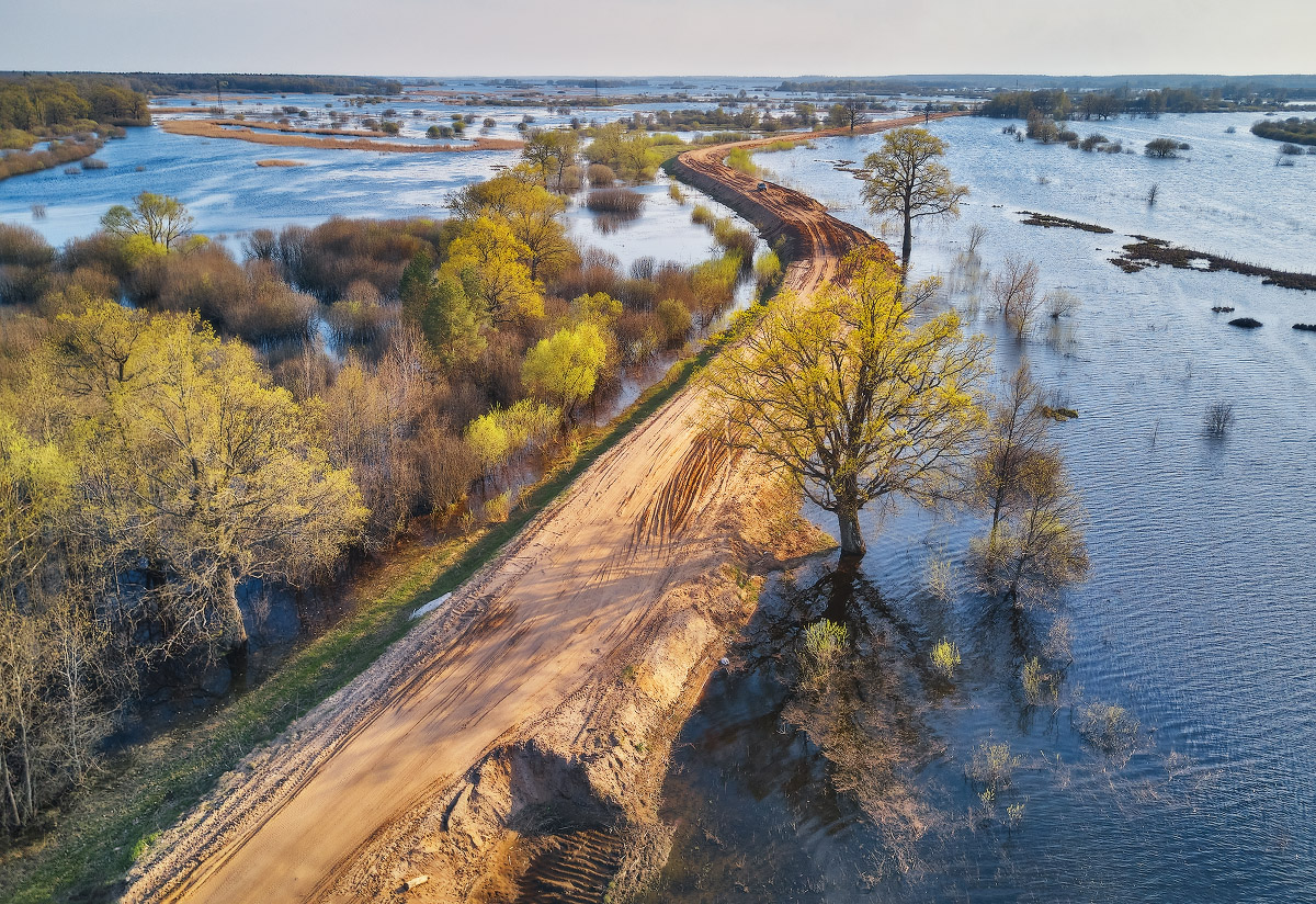 Road through flood