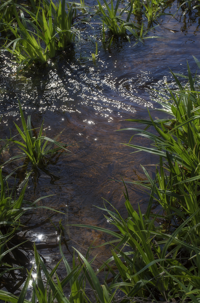 Creek