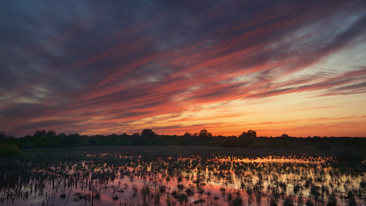 "Sunset"