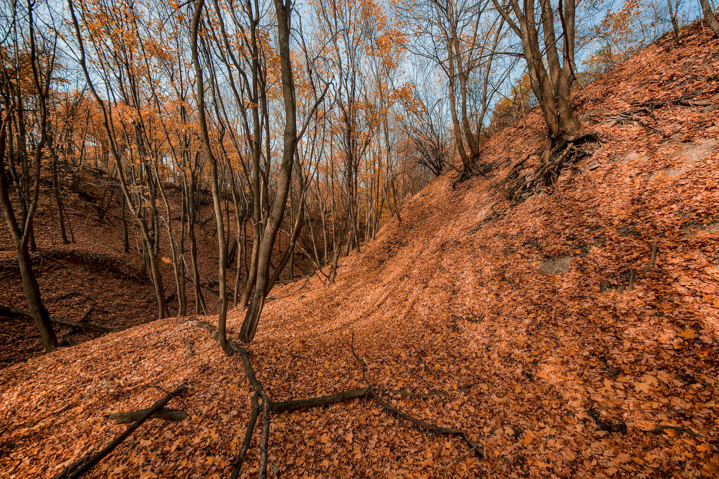 Autumn