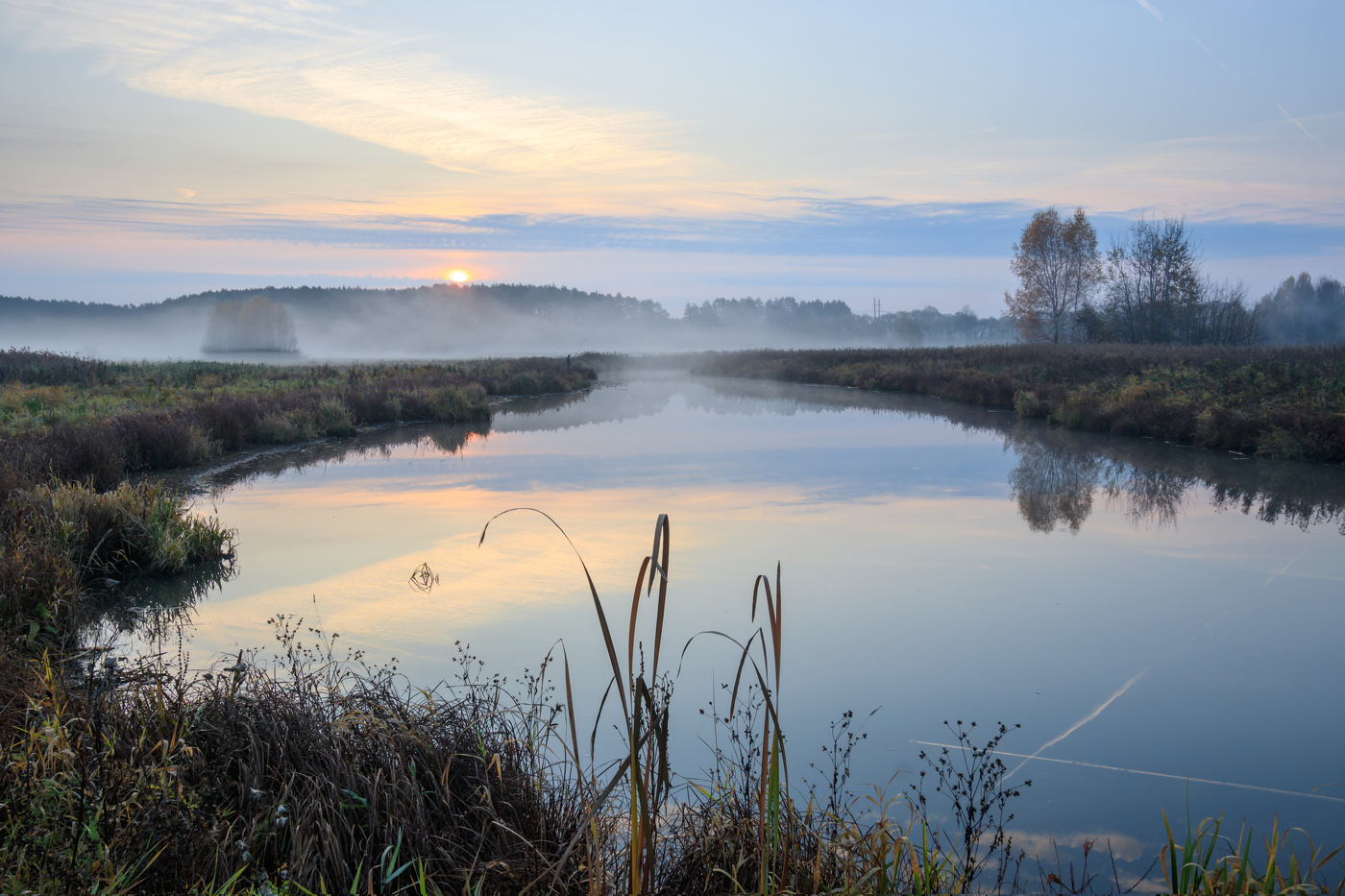 Bayou