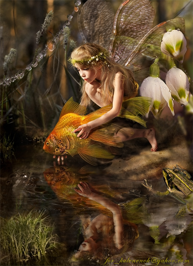 Elf and a goldfish or three wishes.