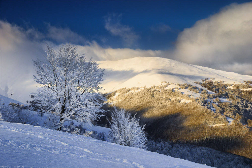 Memories of winter
