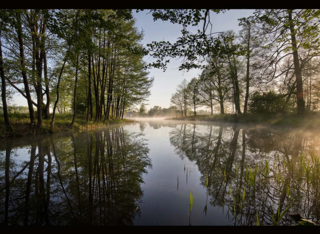 Spring Morning