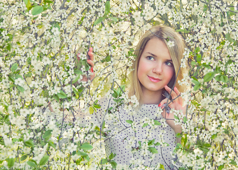Spring