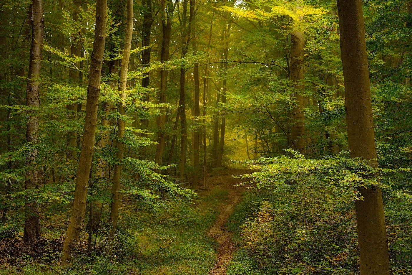 Along the path