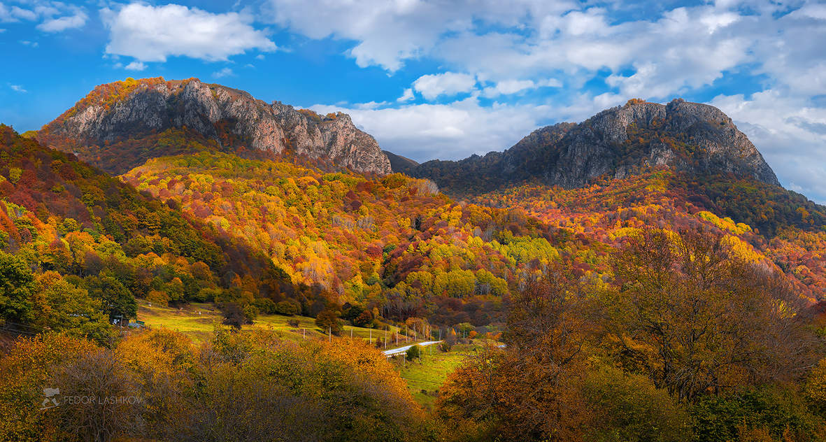 Multicolored autumn