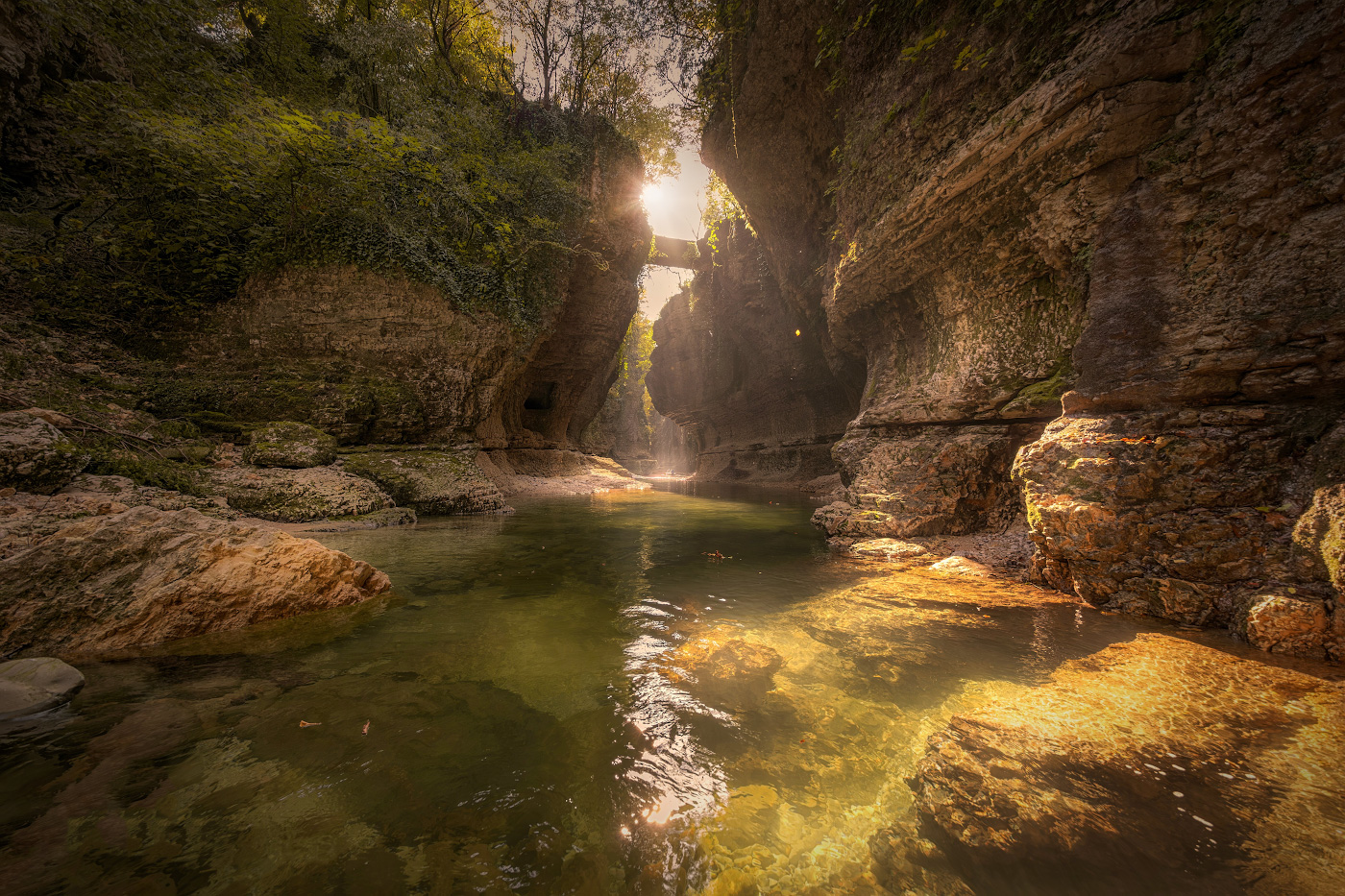 Sunlight In Canyon