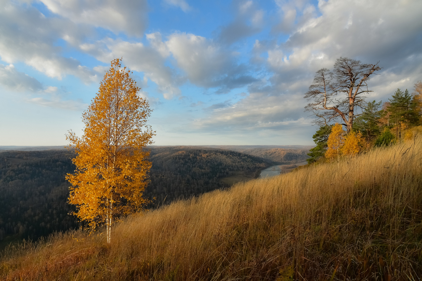 autumn landscape