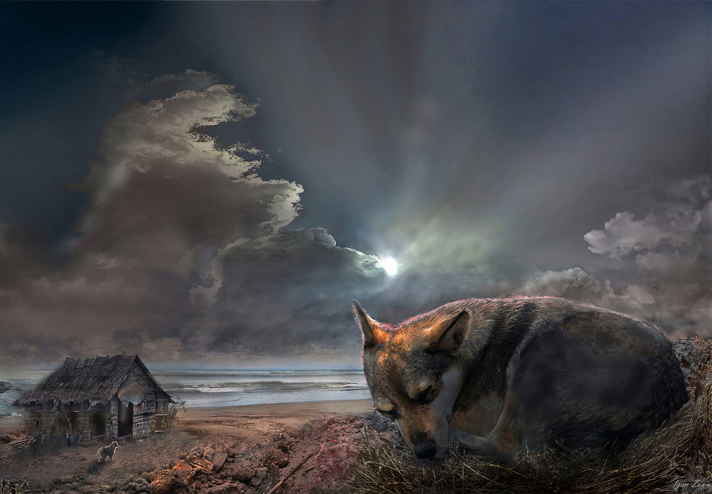 Greyhound Dreams ...