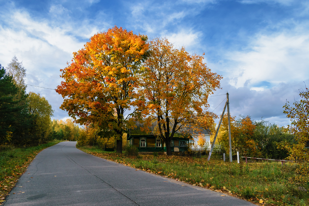 Autumn in the village