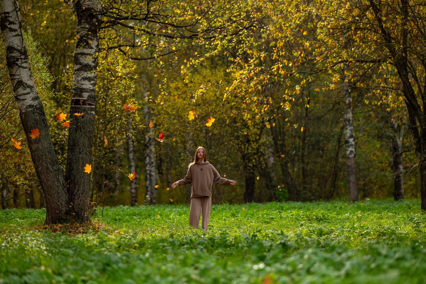 Leaf fall