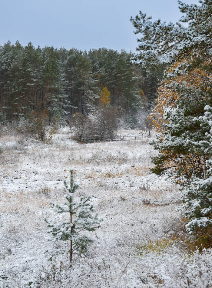 First snow