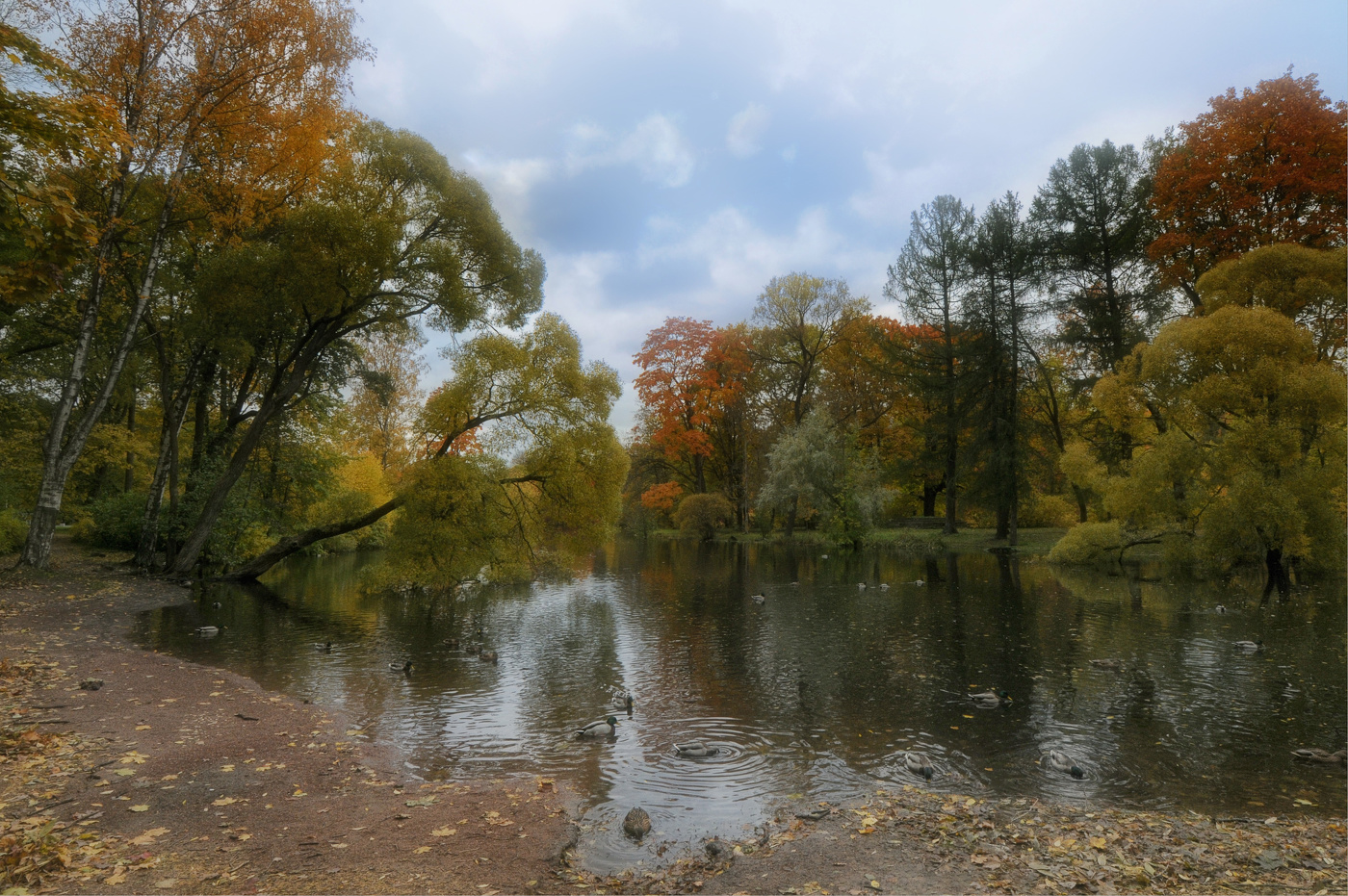 Autumn Gatchina
