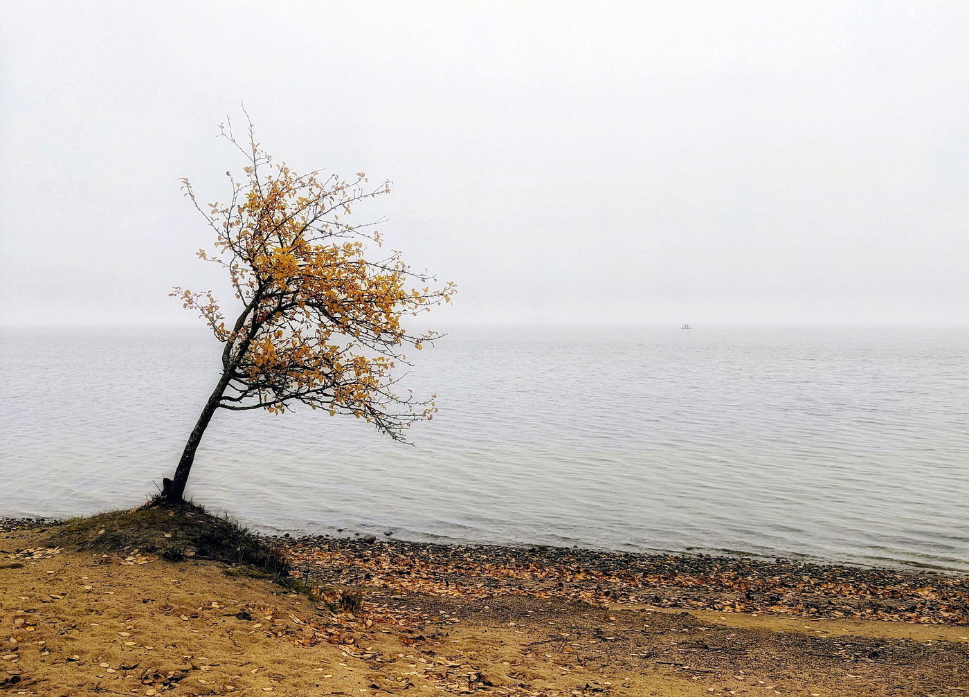 Autumn minimalism