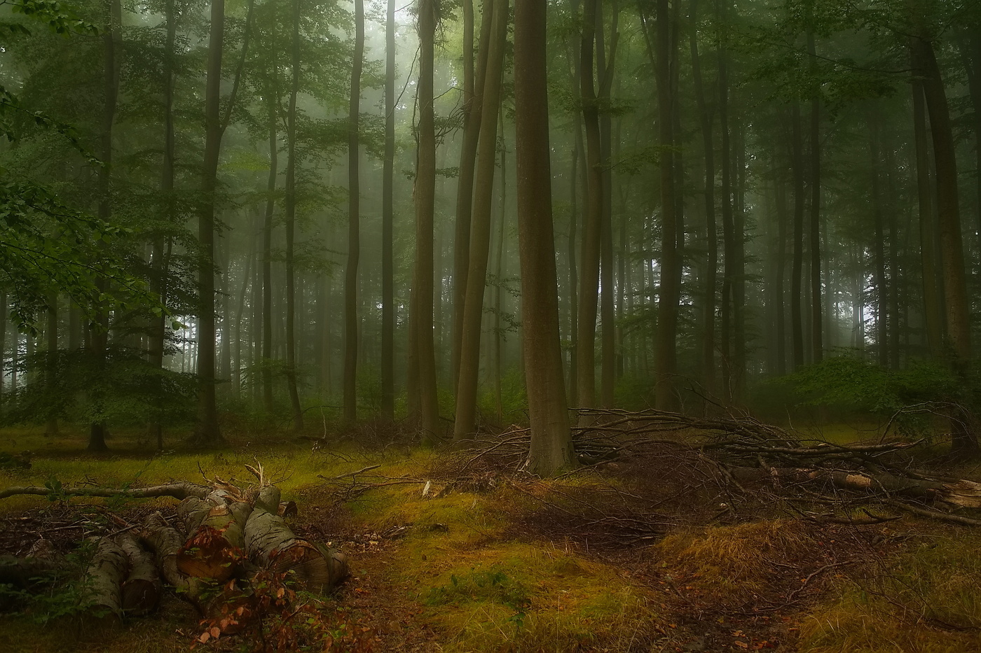 on the threshold of autumn