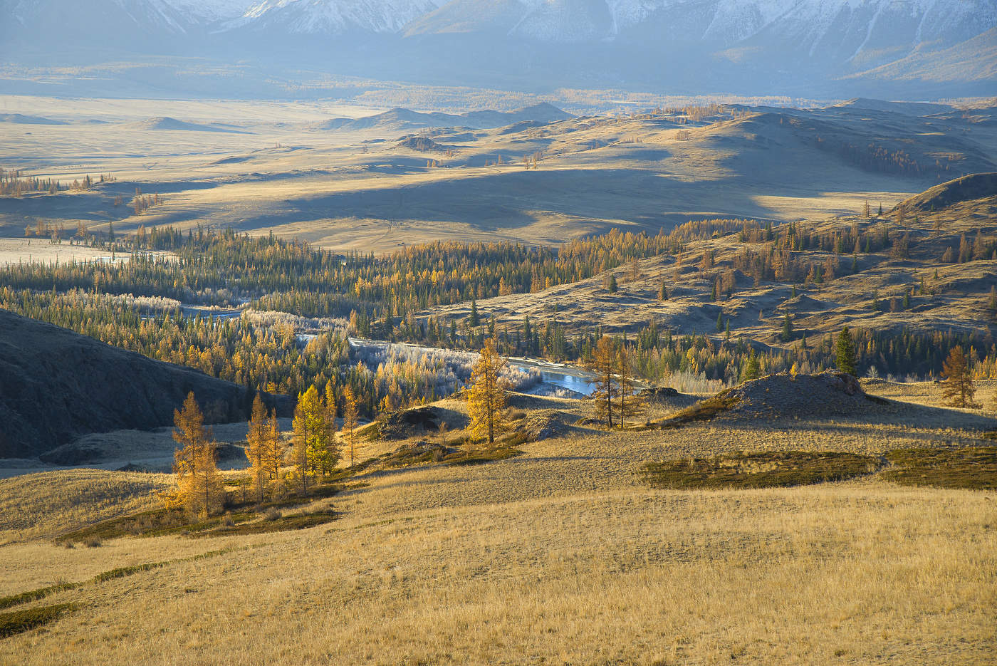 ***