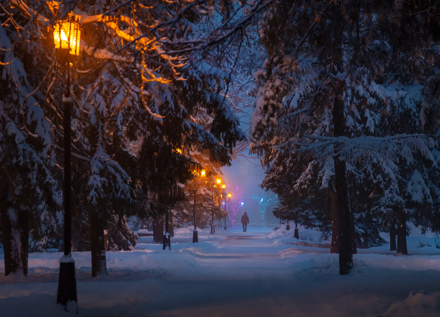 Night park