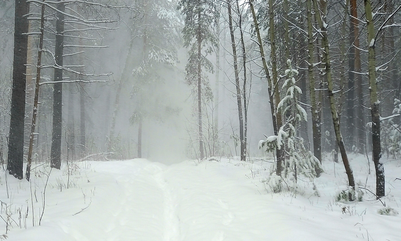 Snow and wind