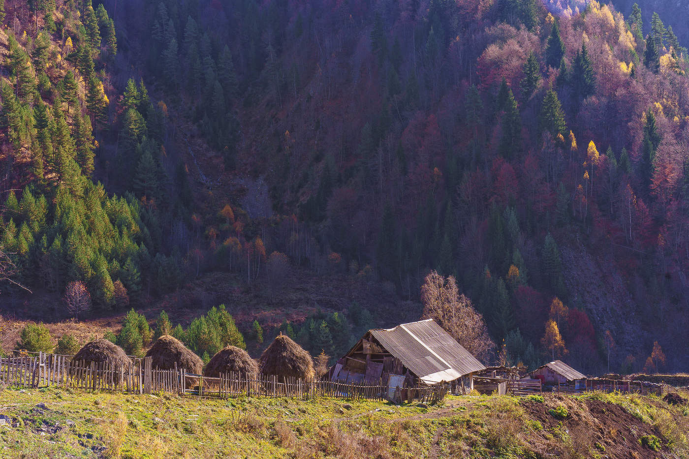Country Landscape