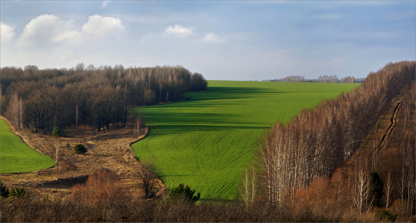 in the fields