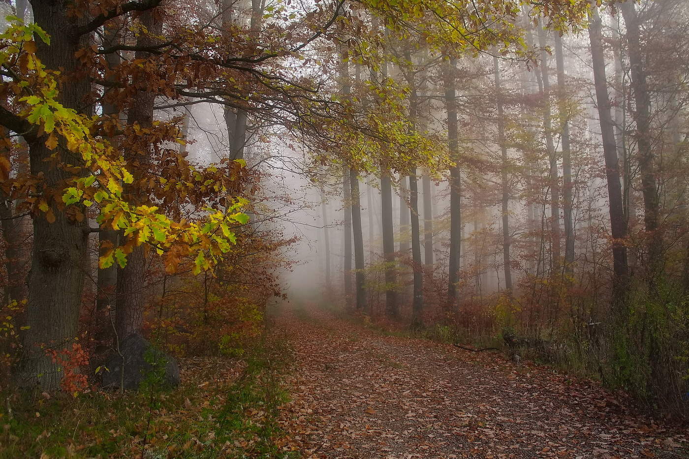 In the golden autumn