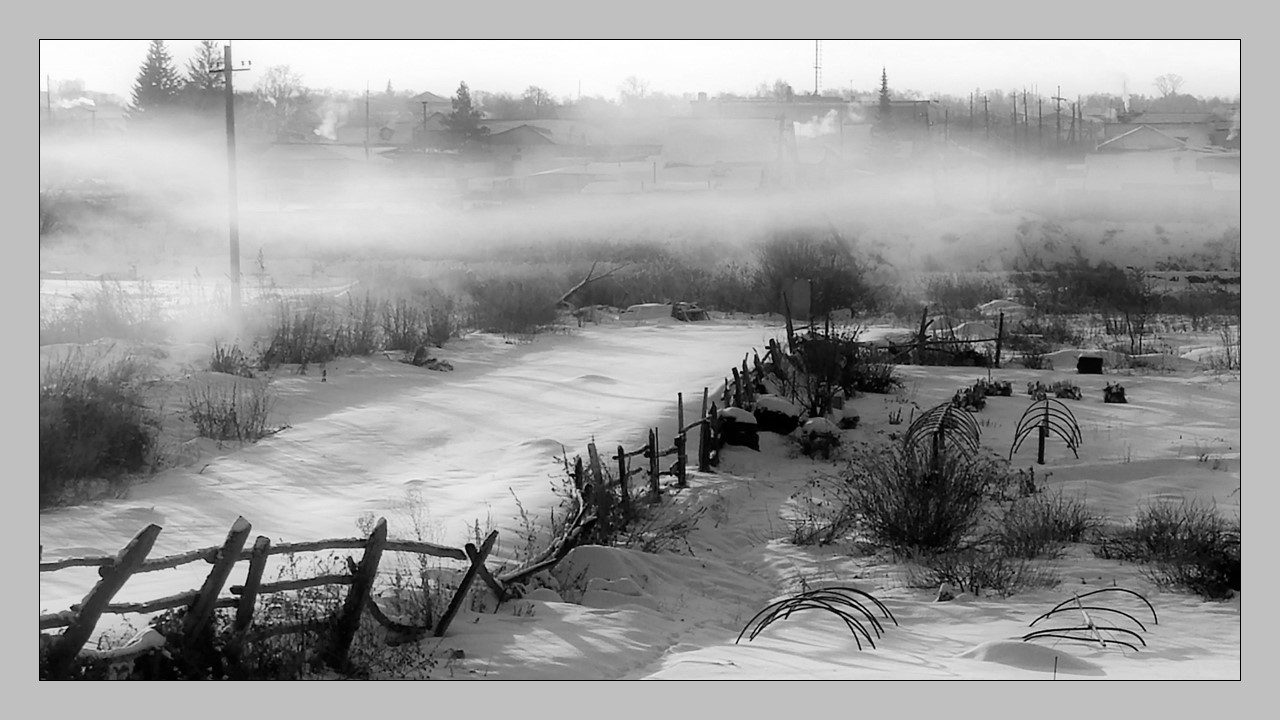 Frosty morning