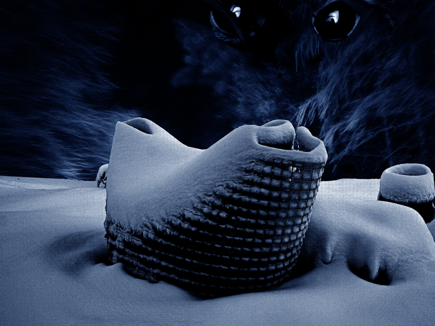 Christmas story