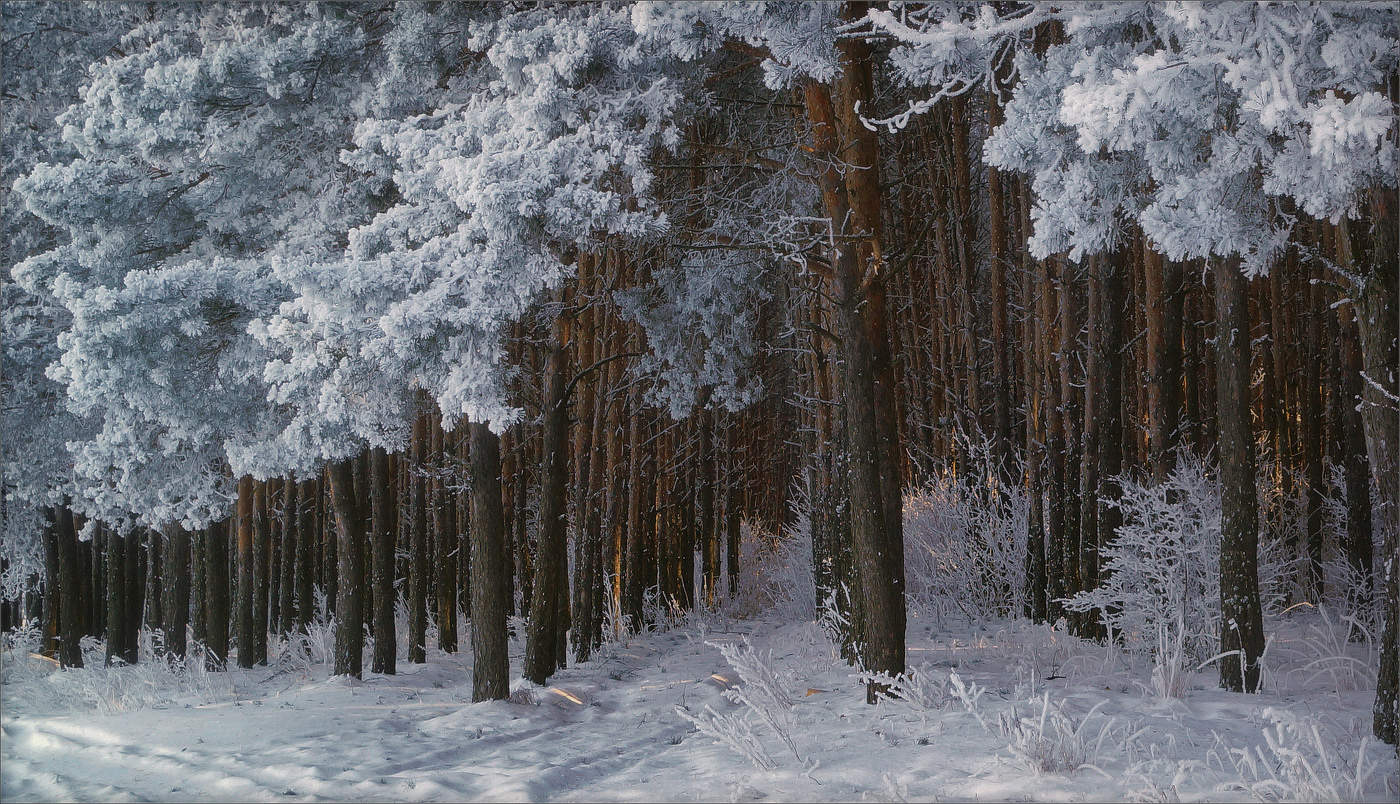 Frost