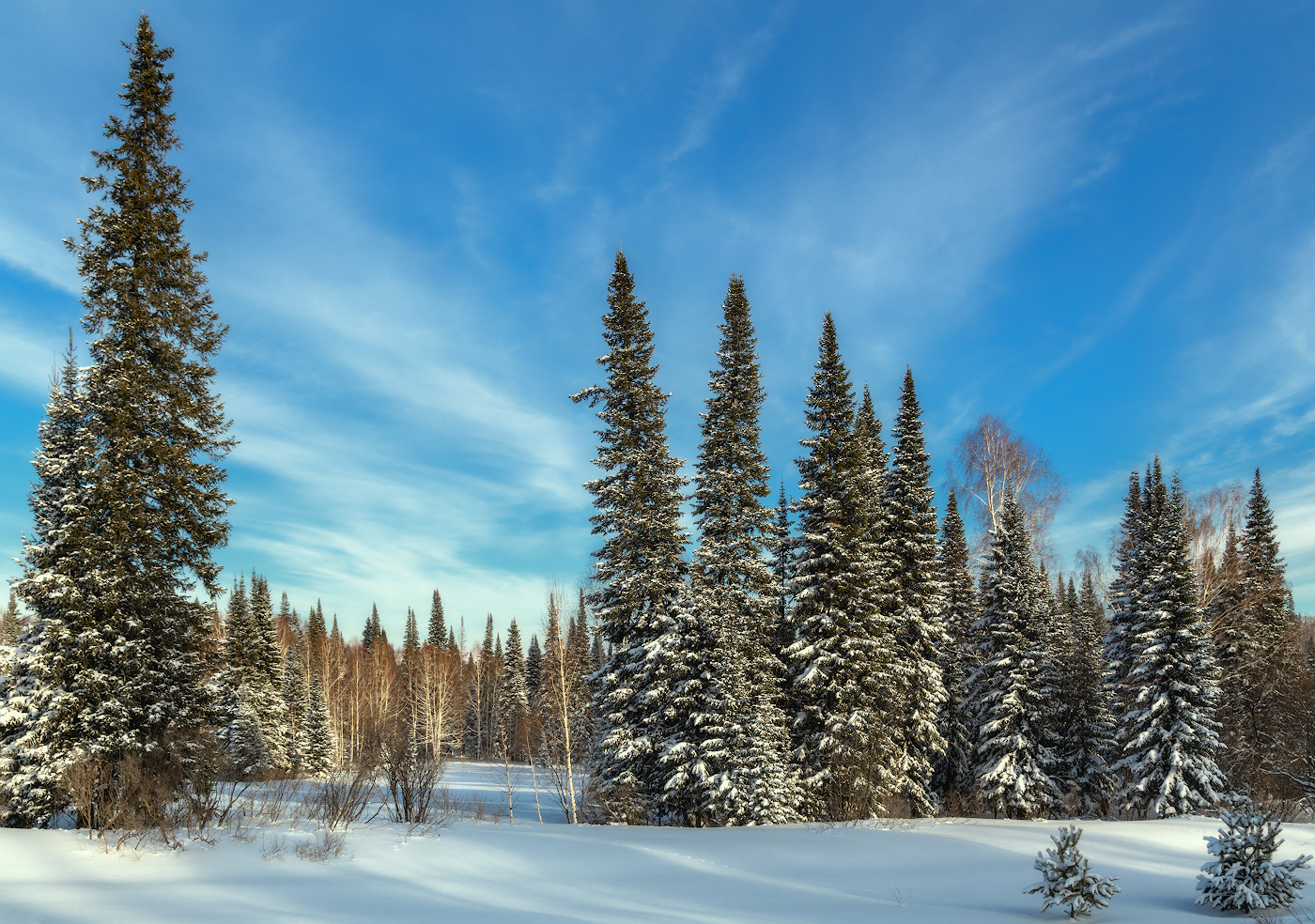 winter