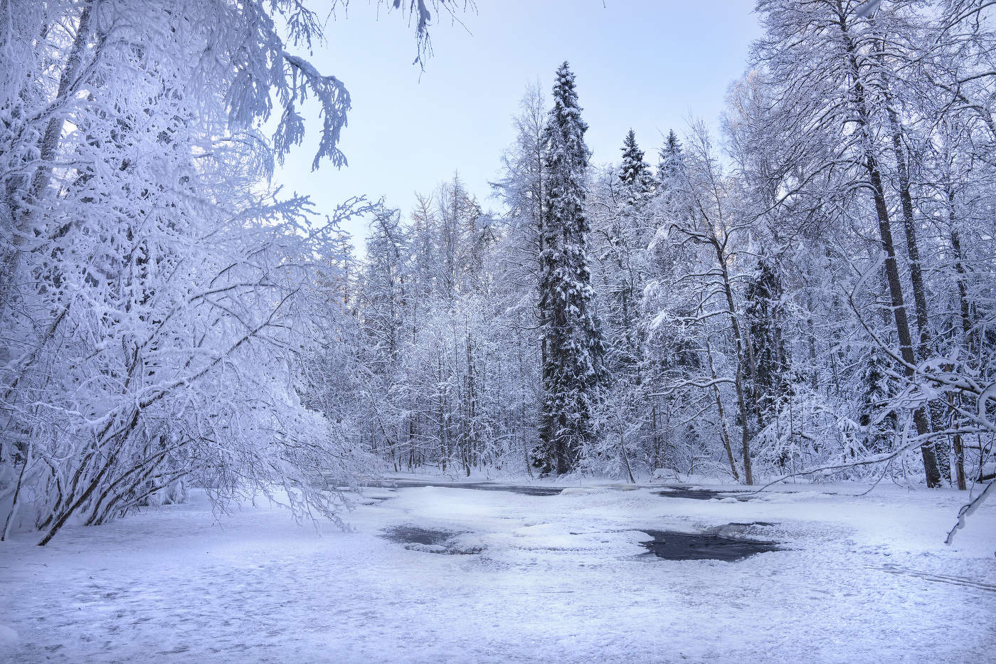 Winter picture