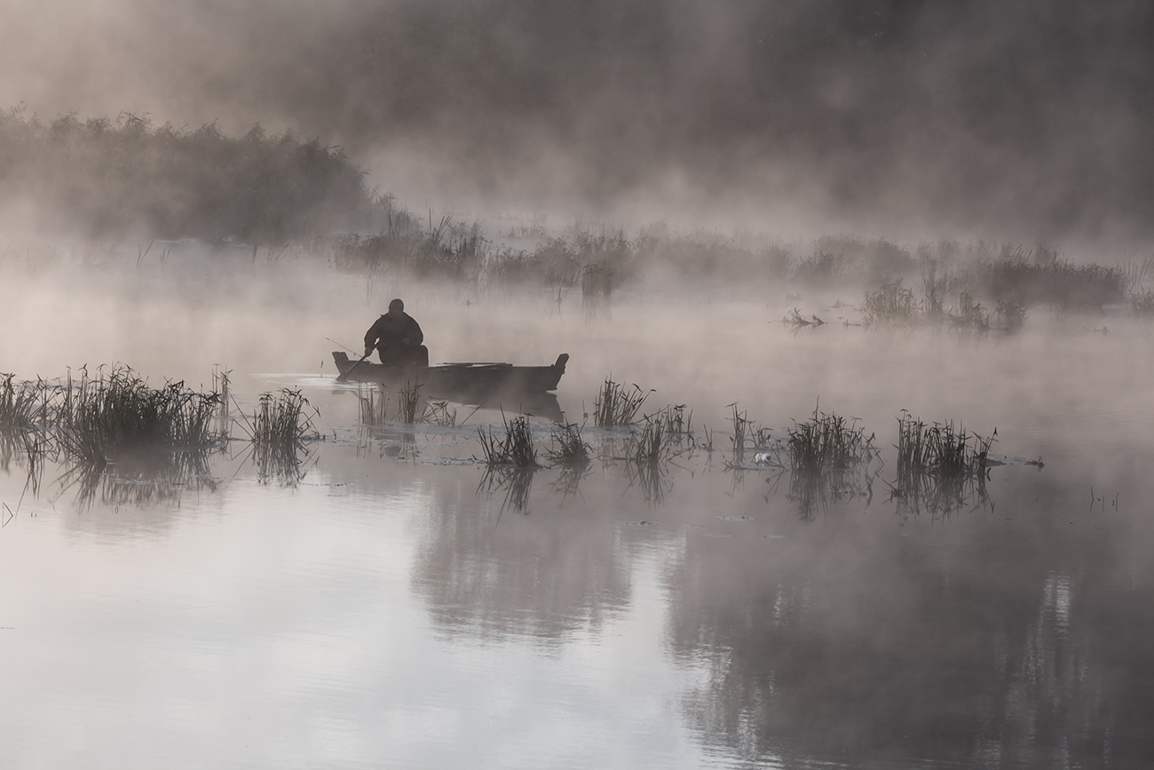 Morning idyll