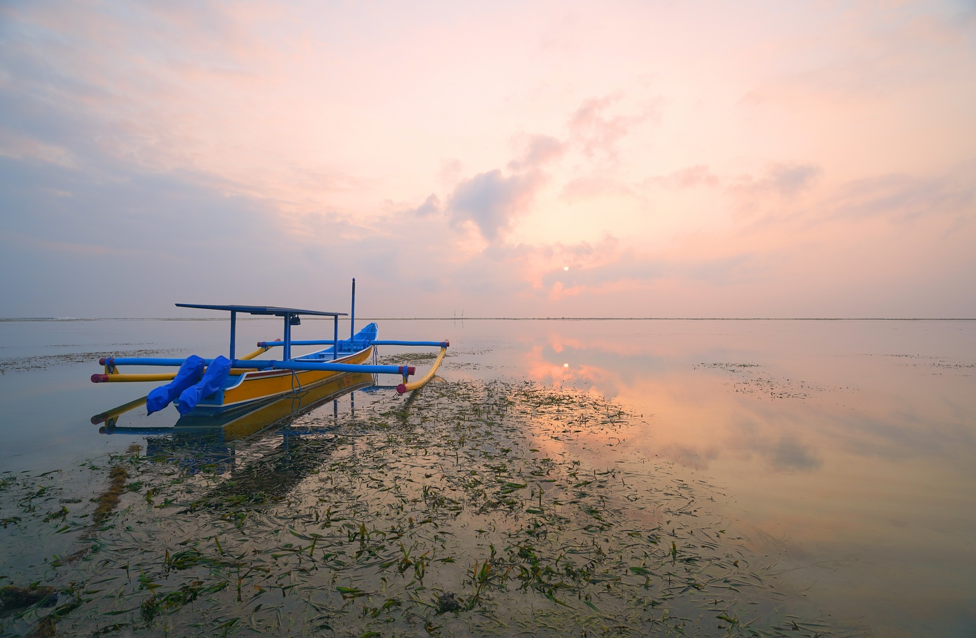 Pink morning
