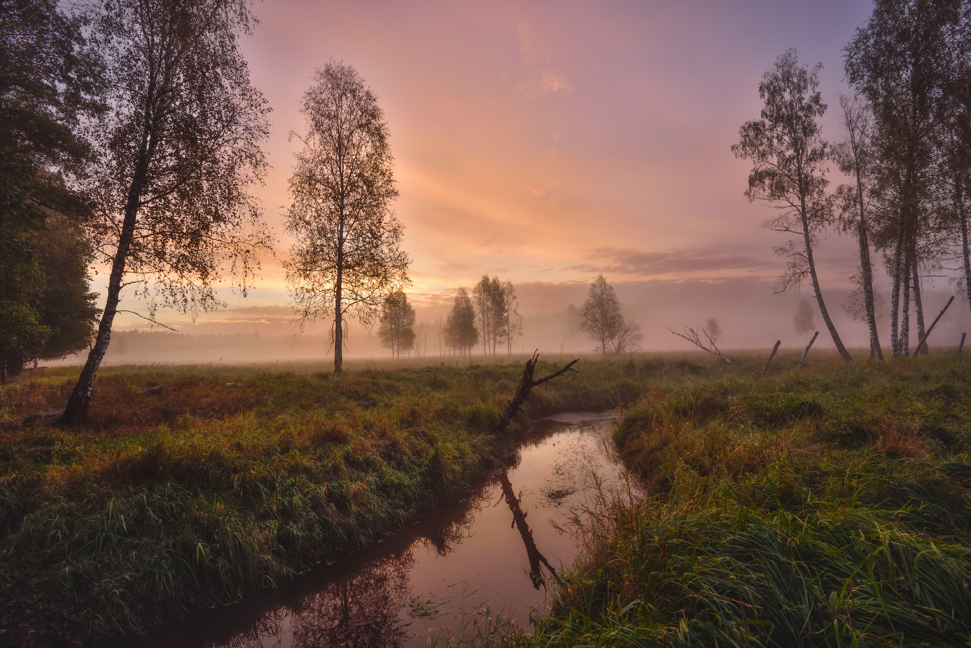 Fog dissipates