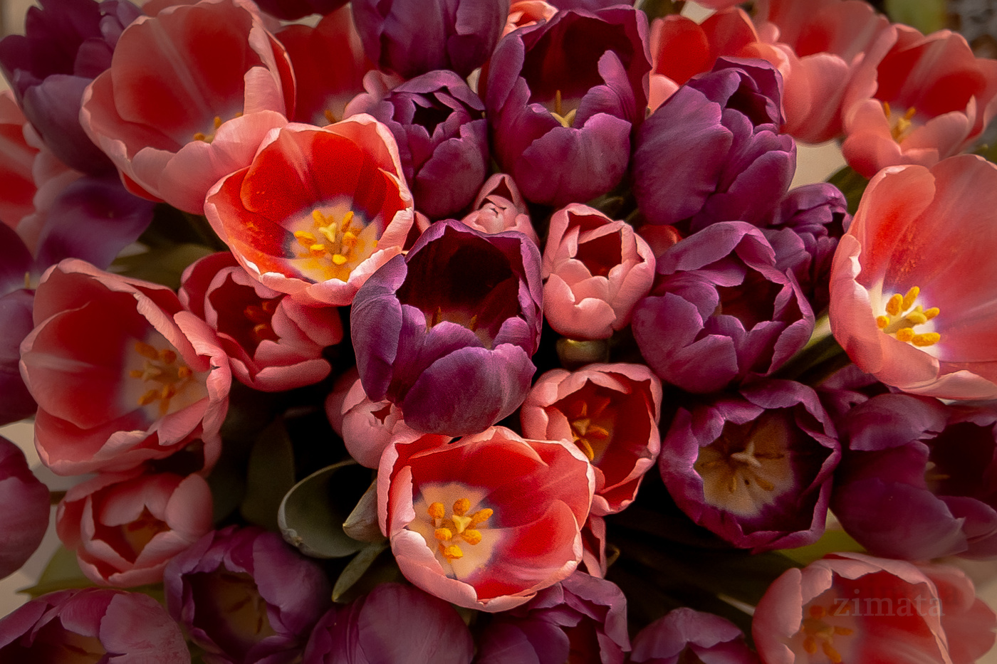 ***