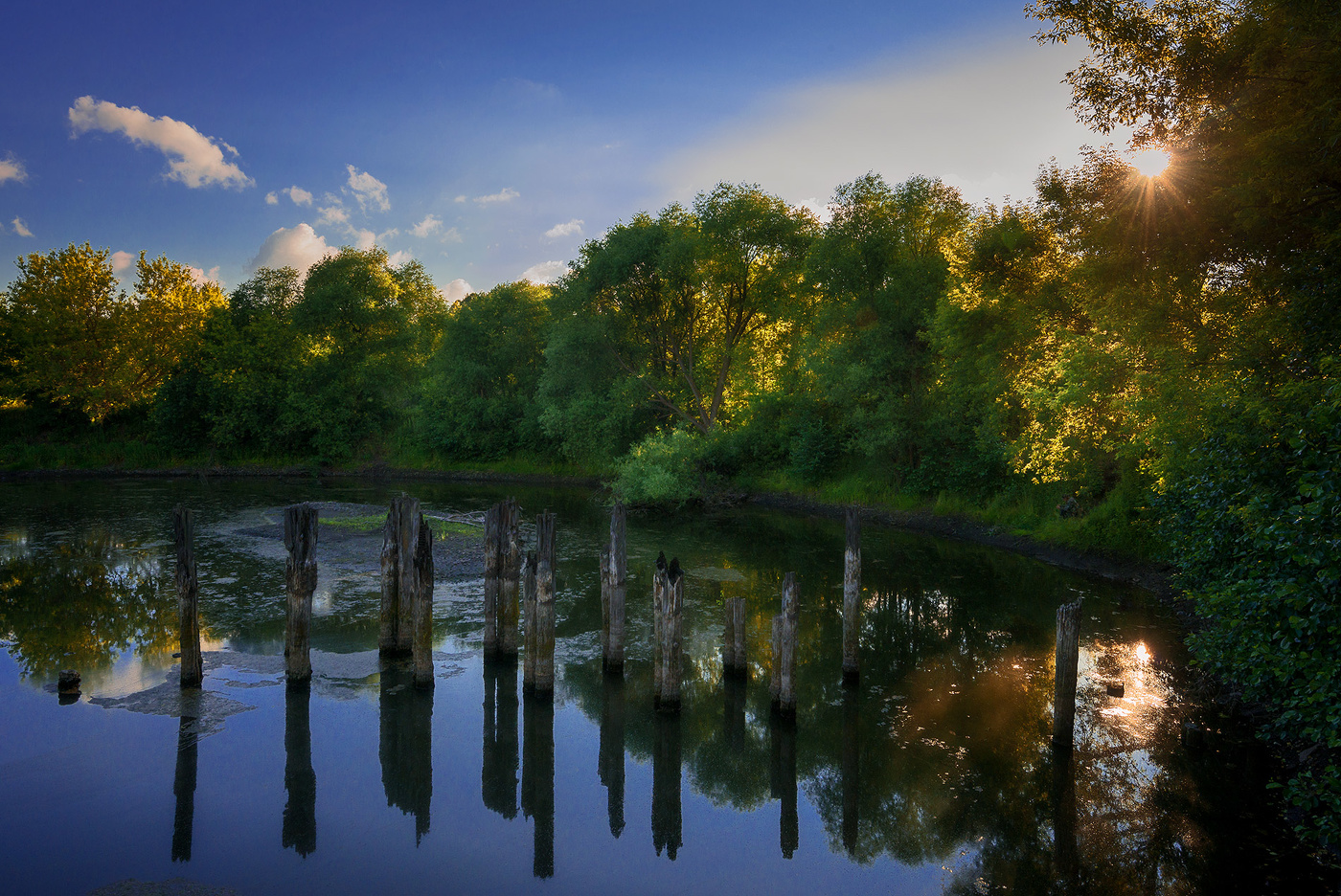 Old pond ...