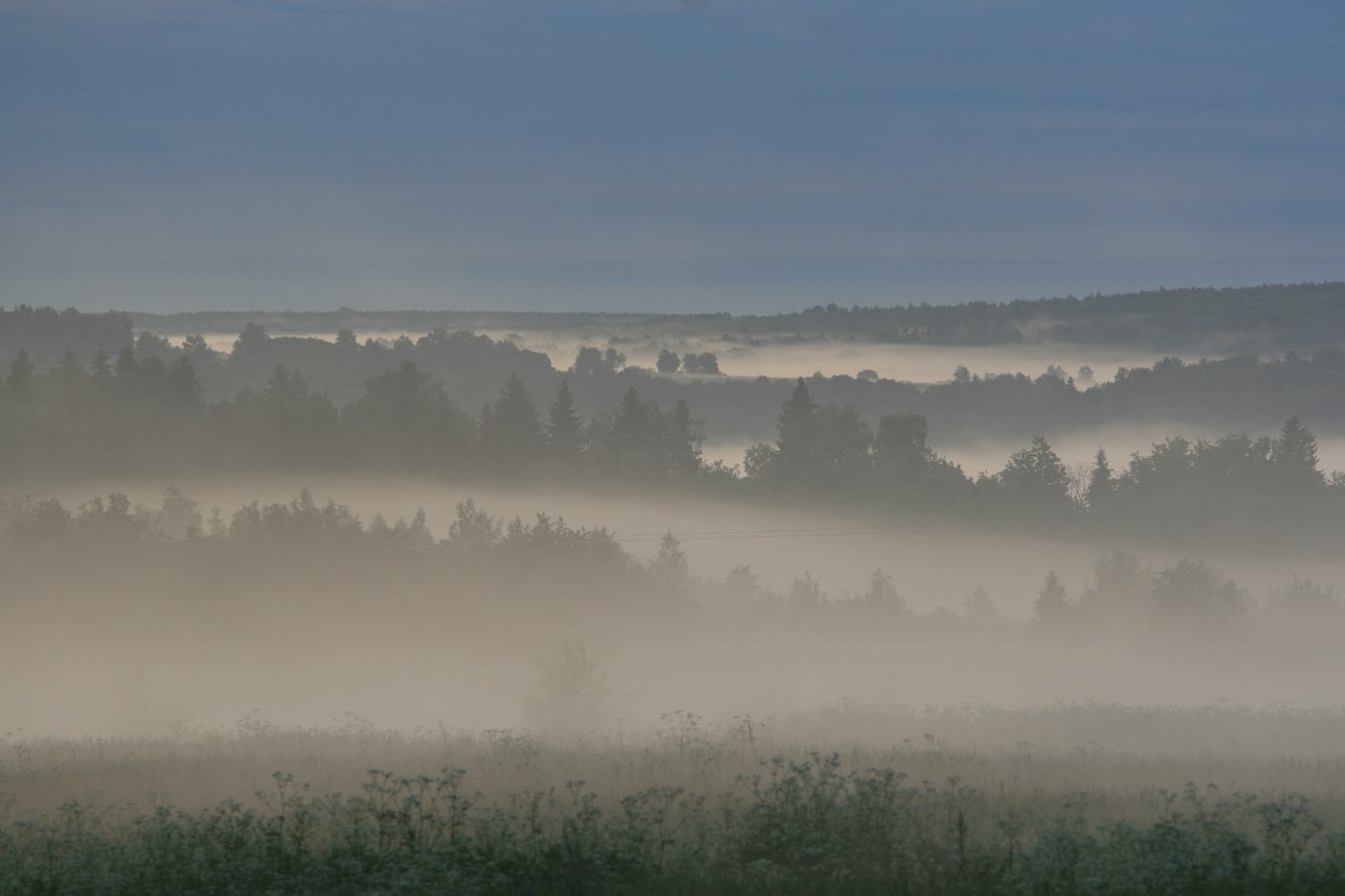 Mists ...