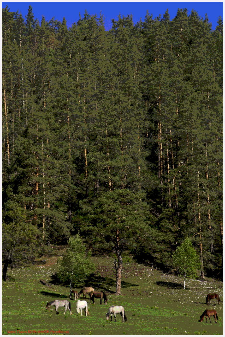 Bashkortostan