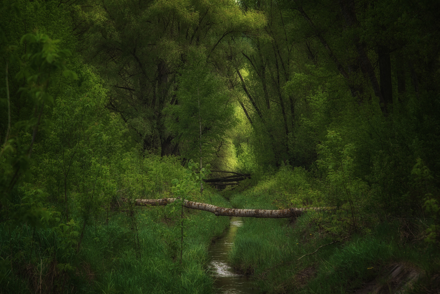 Streamlet