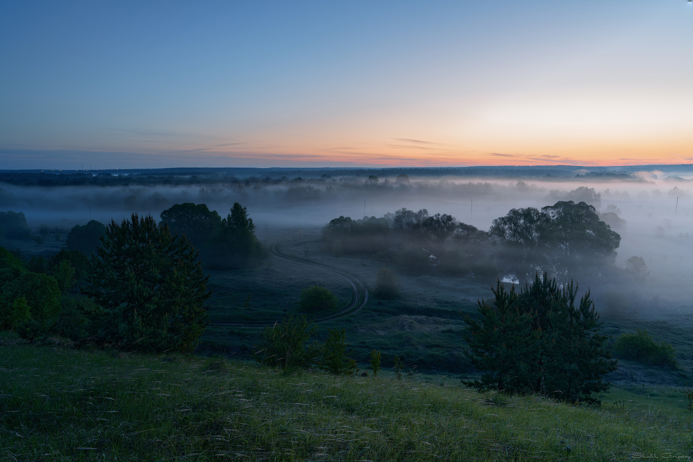 The road in the fog
